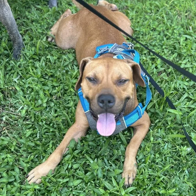 Clyde Drexel thumbnail 3