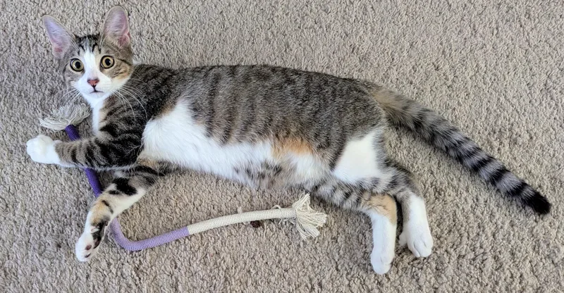 Otis thumbnail 2
