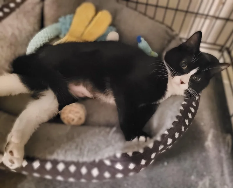 Hurricane Irene thumbnail 2