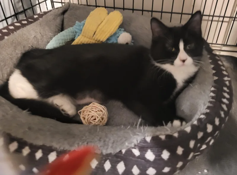 Hurricane Irene thumbnail 3