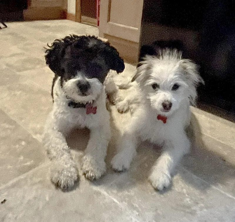 Edison & Piper