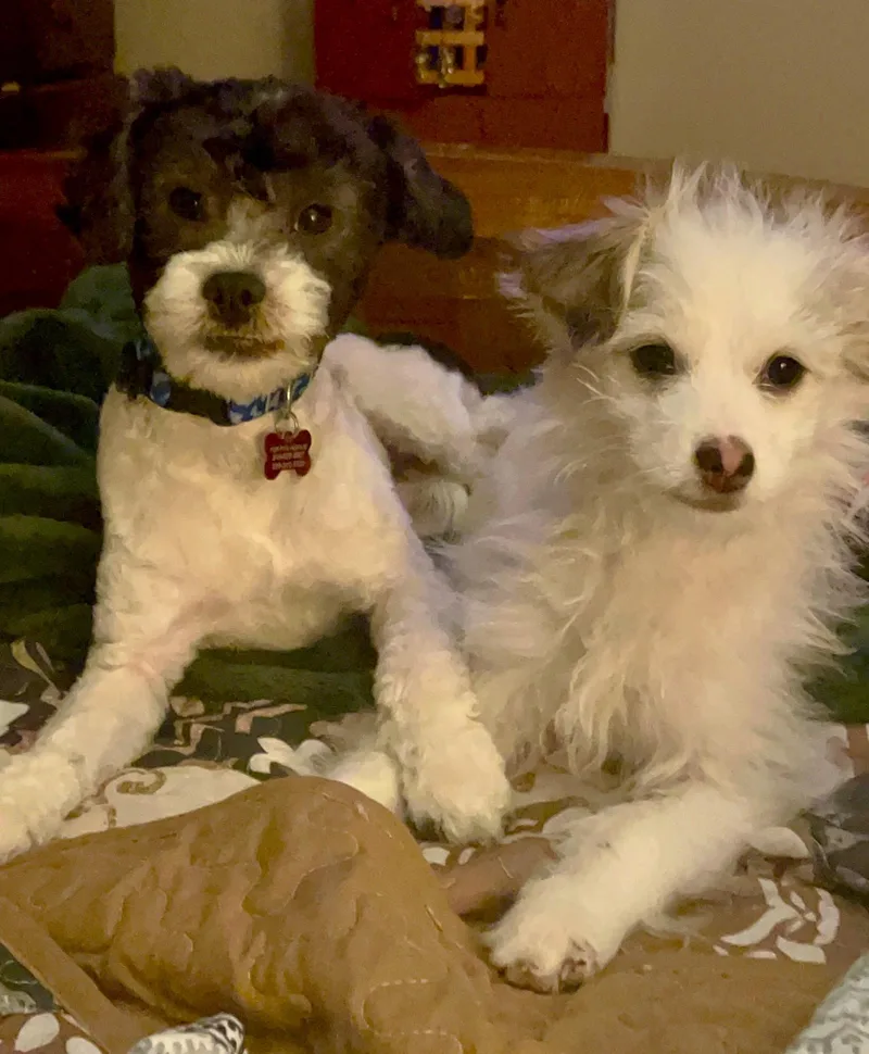 Edison & Piper thumbnail 2