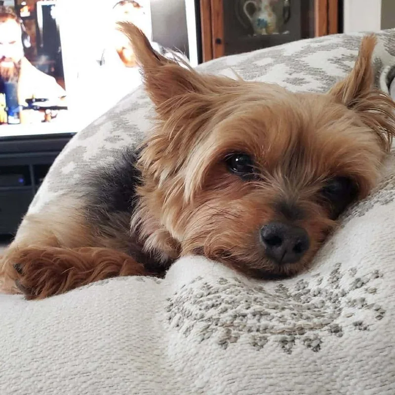Minnie thumbnail 4