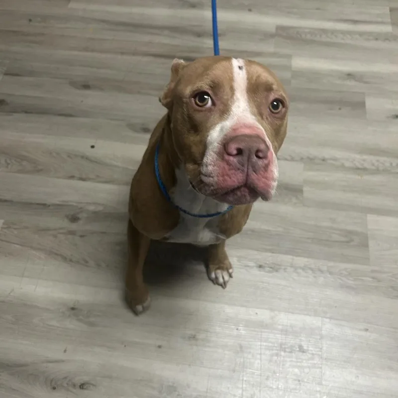 Kapri Sun thumbnail 2