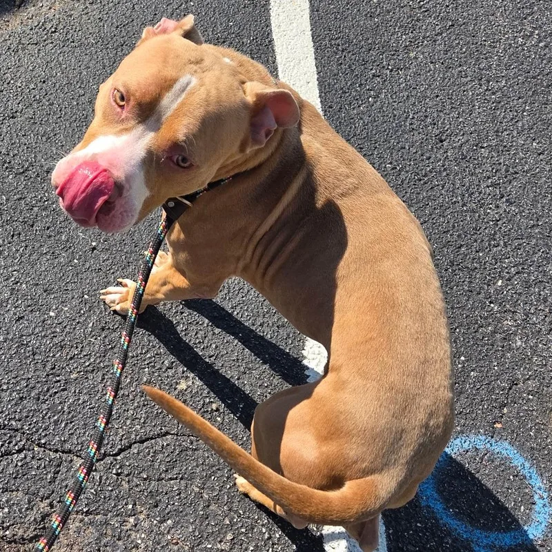 Kapri Sun thumbnail 3