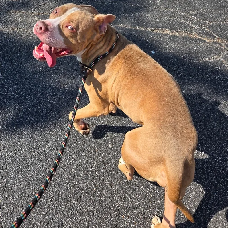 Kapri Sun thumbnail 4