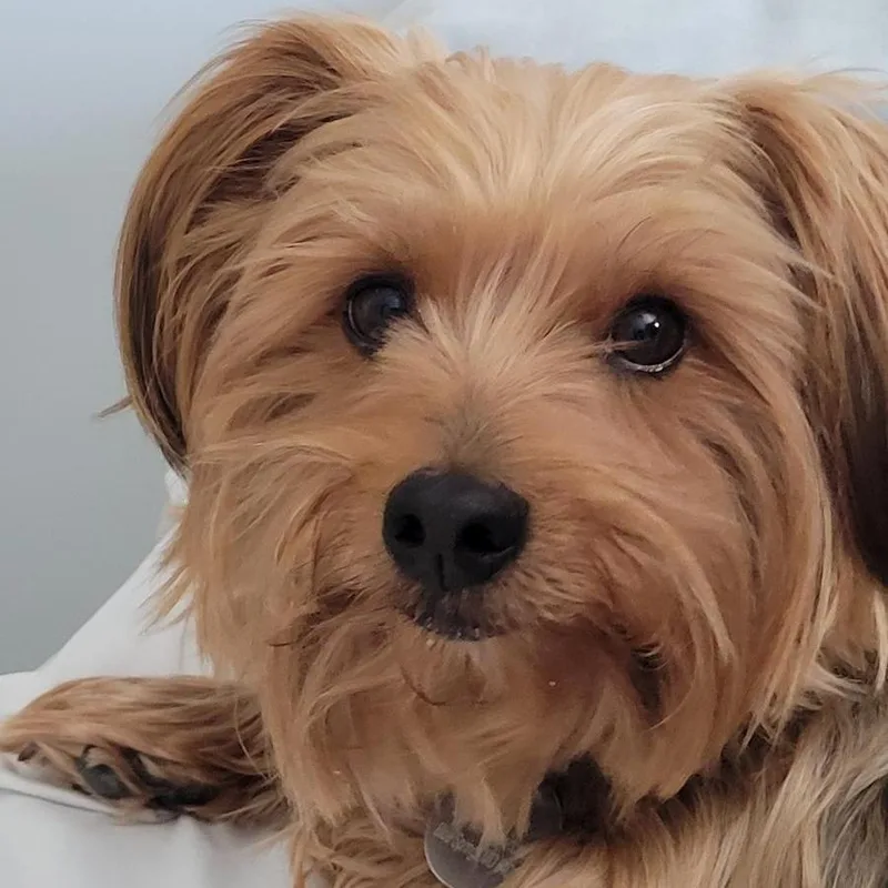 Charlie