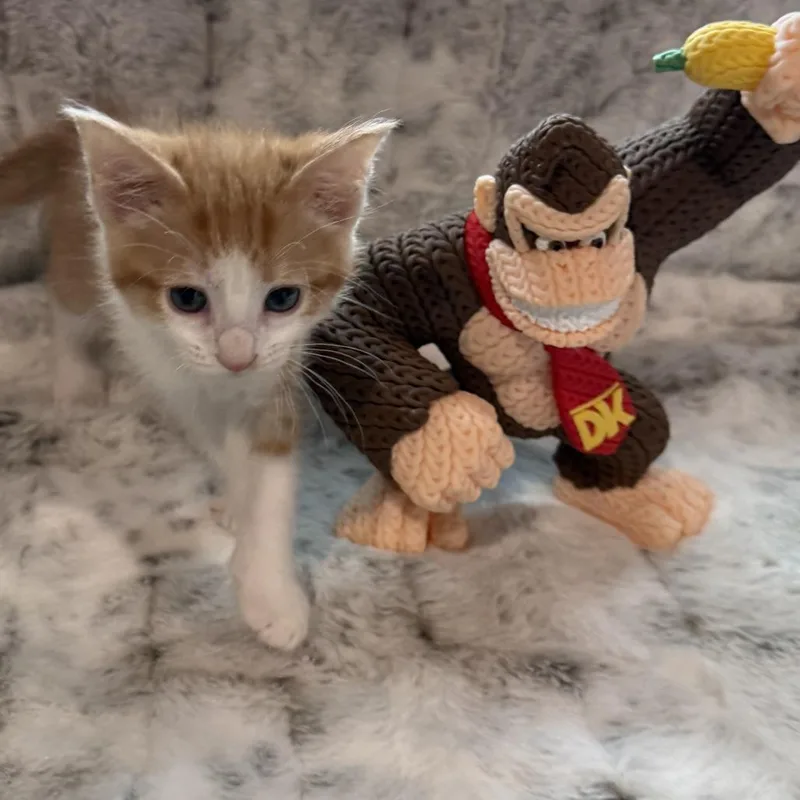 Donkey Kong thumbnail 3