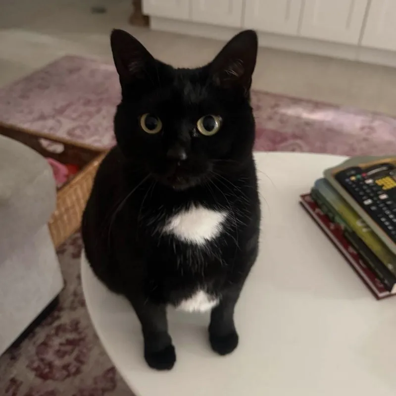 Missy