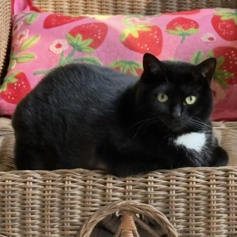 Missy thumbnail 3