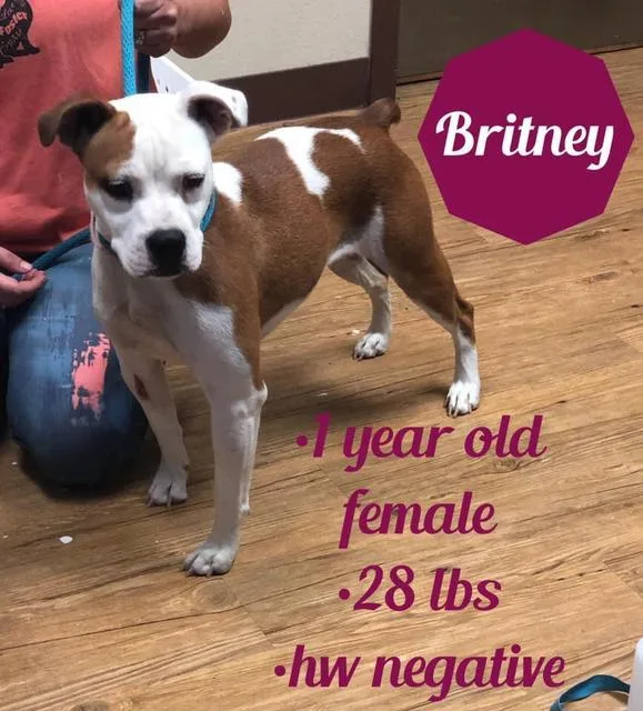 Britney