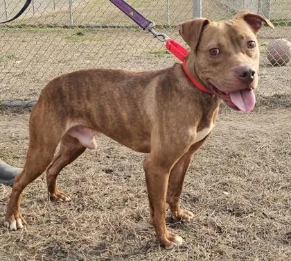 Little Man thumbnail 2