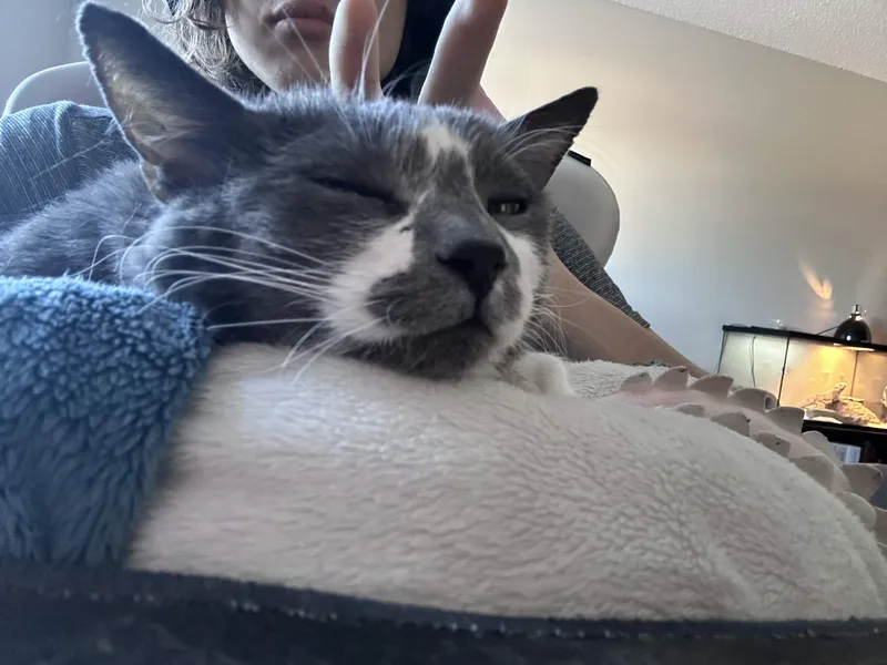 Karma thumbnail 2