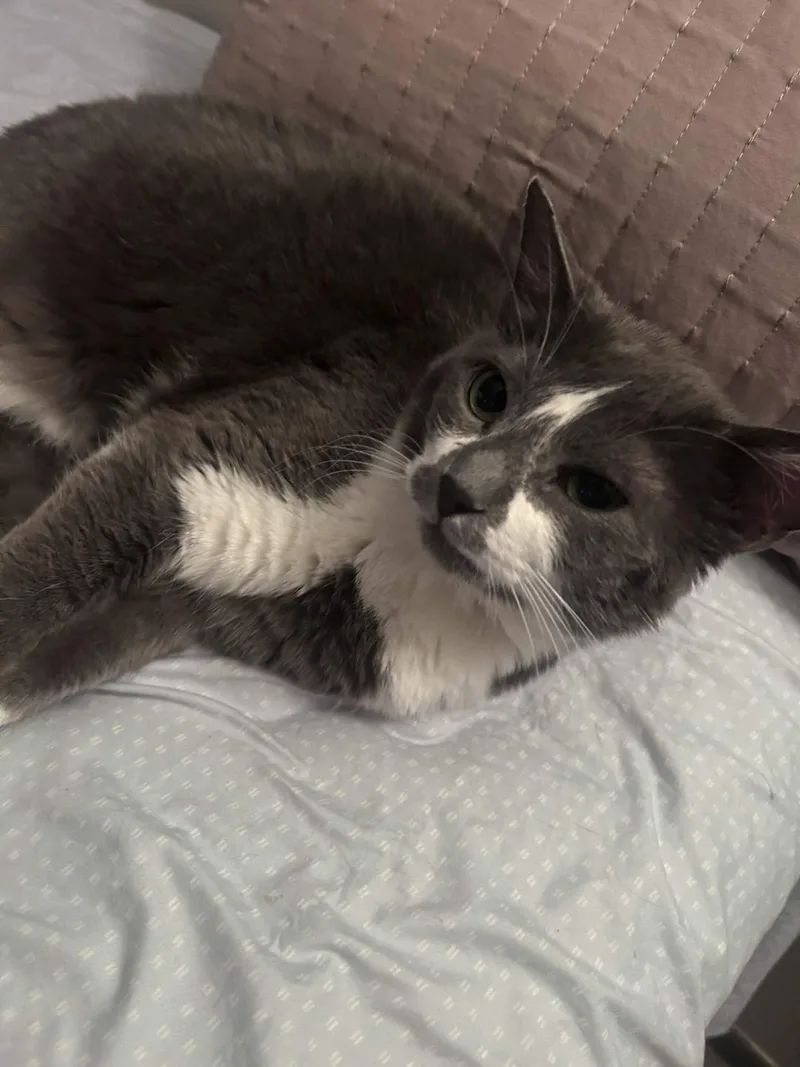 Karma thumbnail 3