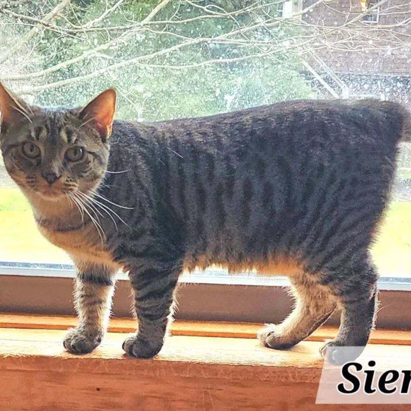 Sierra & Polyanna thumbnail 2