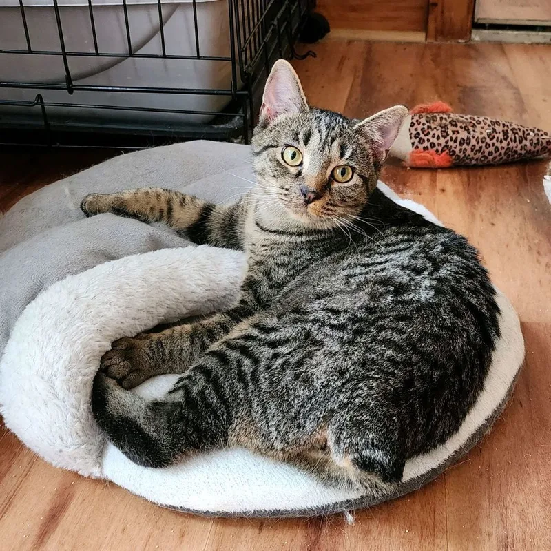 Sierra & Polyanna thumbnail 4