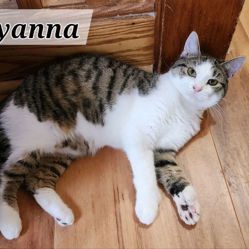 Sierra & Polyanna thumbnail 5