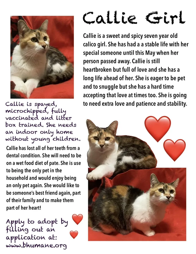 Callie Massey thumbnail 3