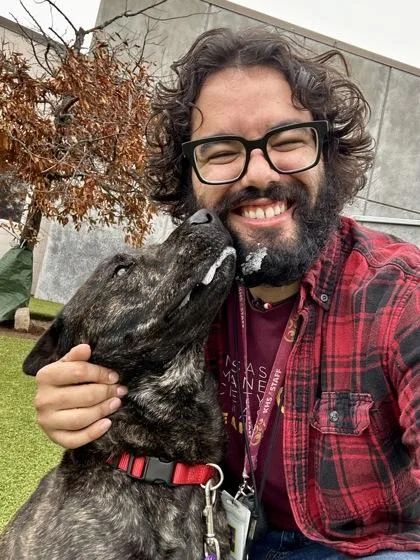 An adult large-sized male Black Mixed Breed dog named Nino Saint Cheese for adoption in Wichita, KS