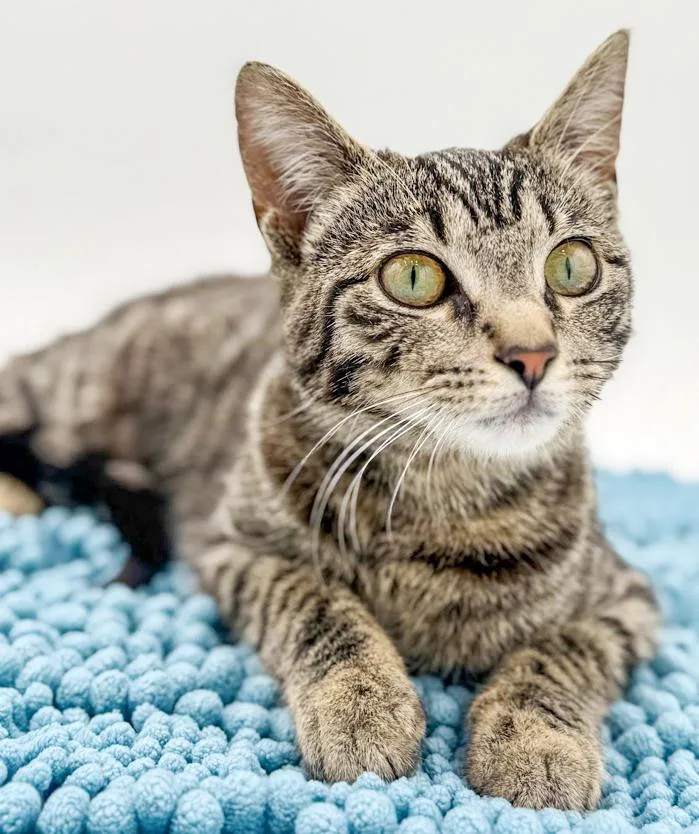 Annie Our Love! Gentle thumbnail 3