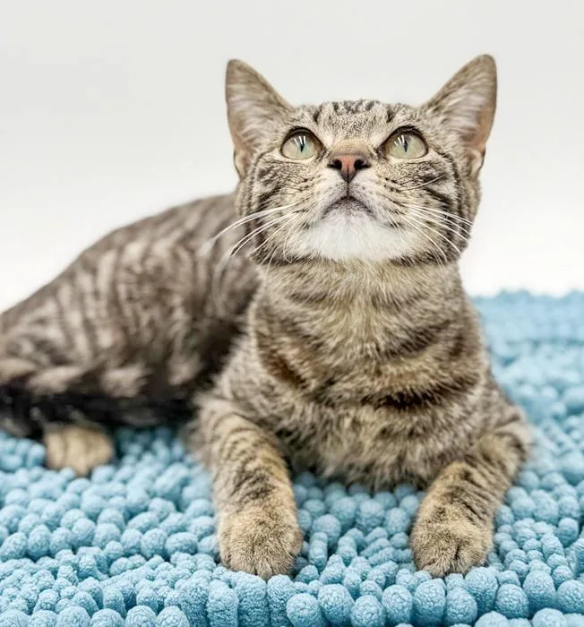 Annie Our Love! Gentle thumbnail 4