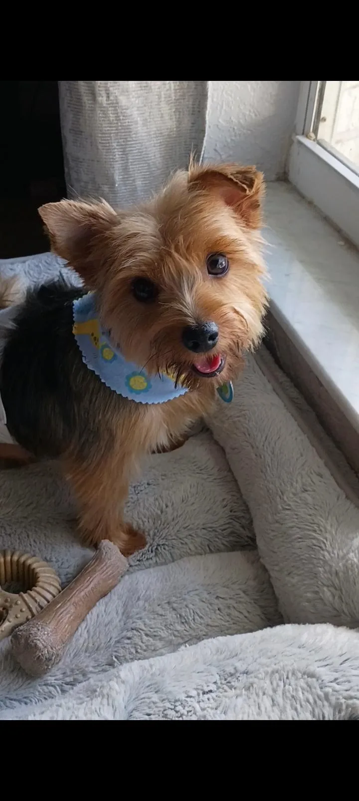 Tango