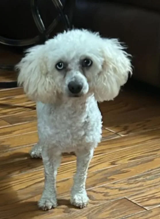 Gabriel In Tx thumbnail 2