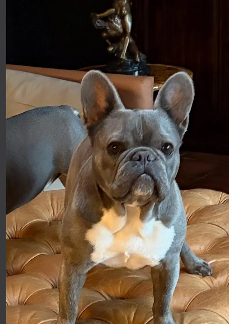 Bubba