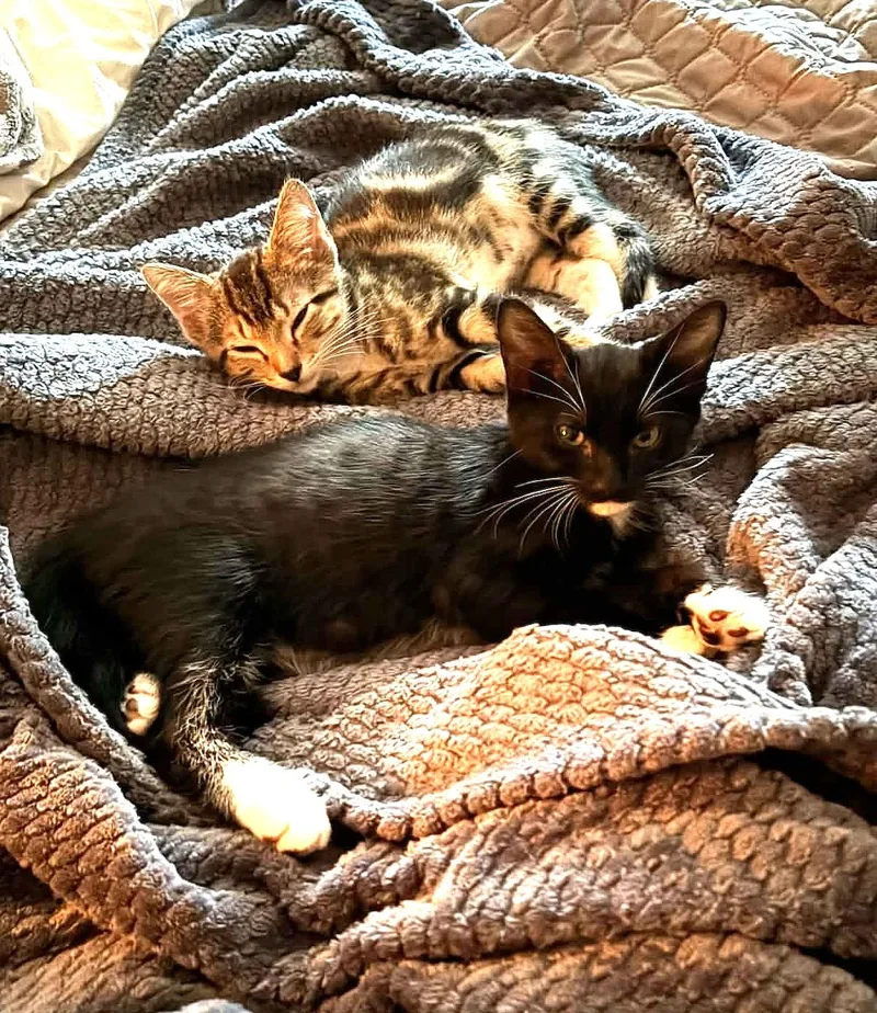 Cuddles thumbnail 5