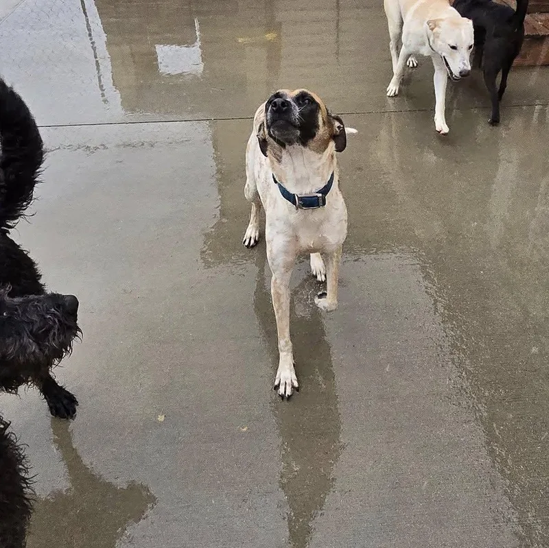 Freckles thumbnail 2