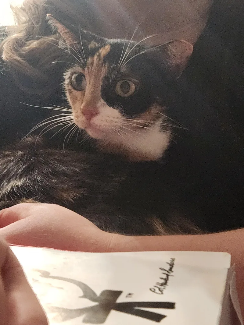 Cathy thumbnail 3