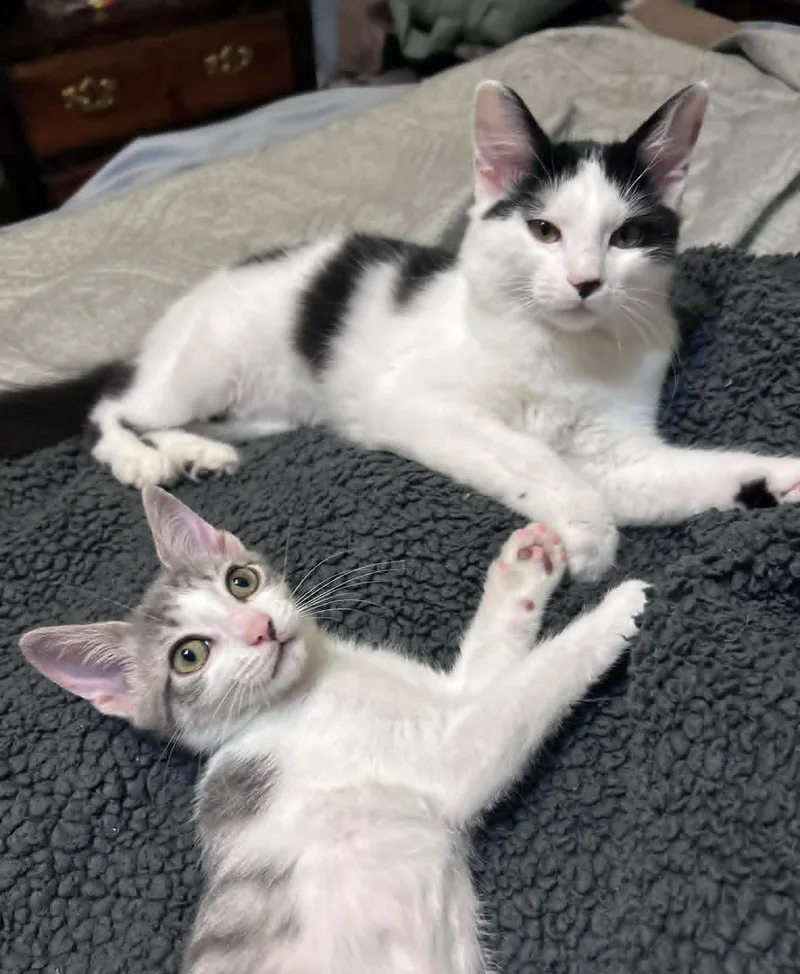 Gully thumbnail 6