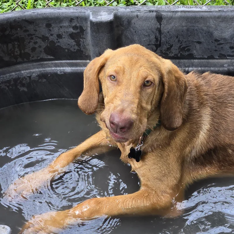 Harrison thumbnail 2