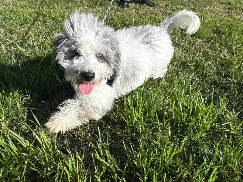 Lily Coming Soon thumbnail 2