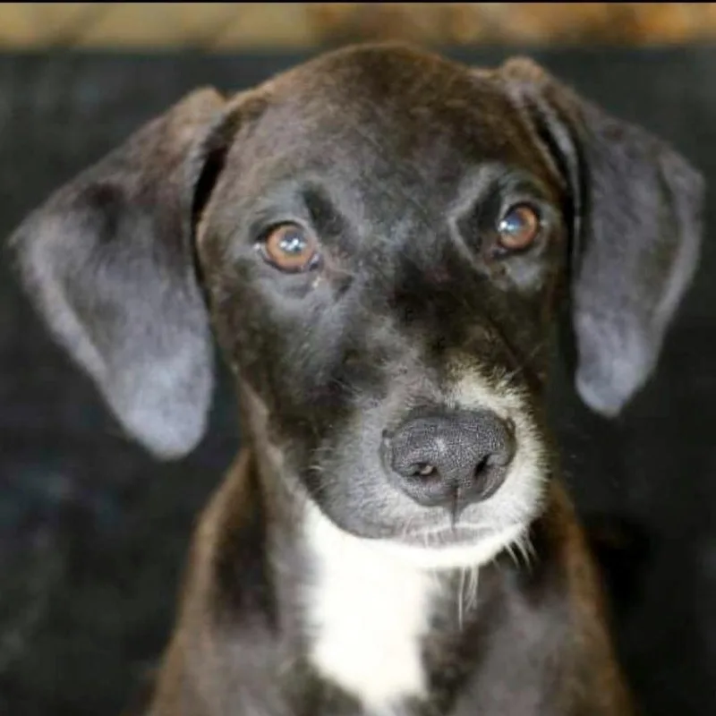 Ben "happygoluckykindofguy!"