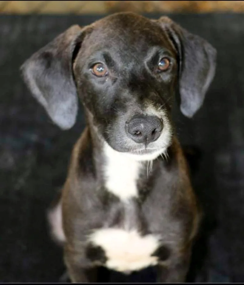 Ben "happygoluckykindofguy!" thumbnail 2