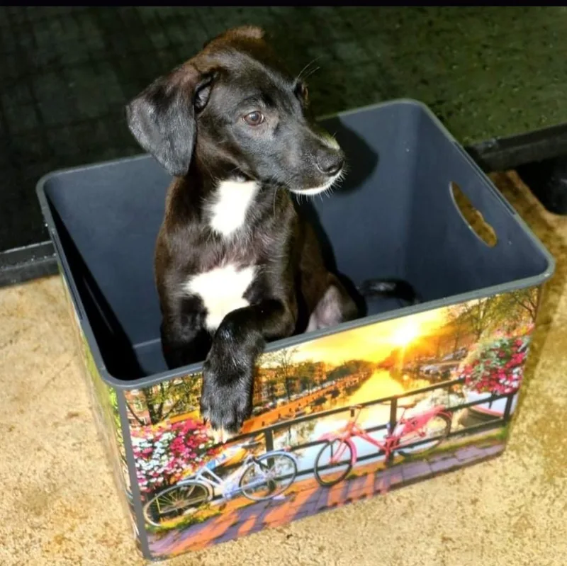 Ben "happygoluckykindofguy!" thumbnail 4