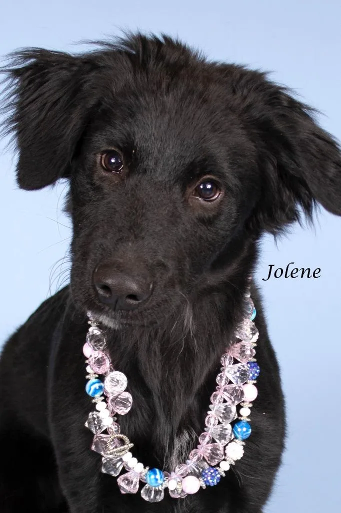 Jolene thumbnail 2