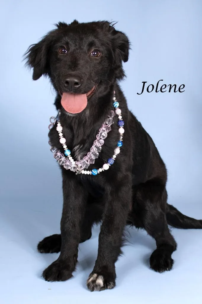 Jolene thumbnail 3