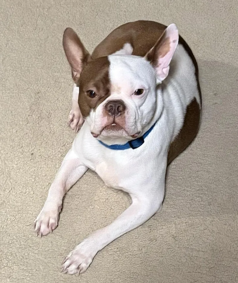 Jasper In Mo thumbnail 2