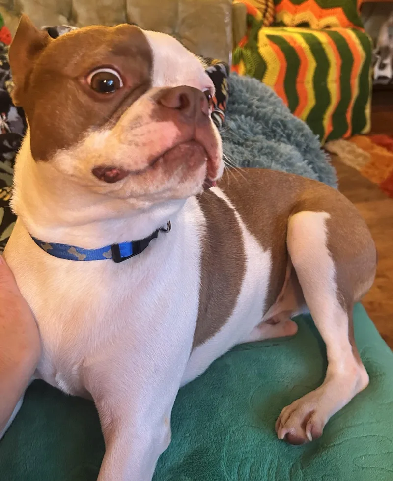 Jasper In Mo thumbnail 3