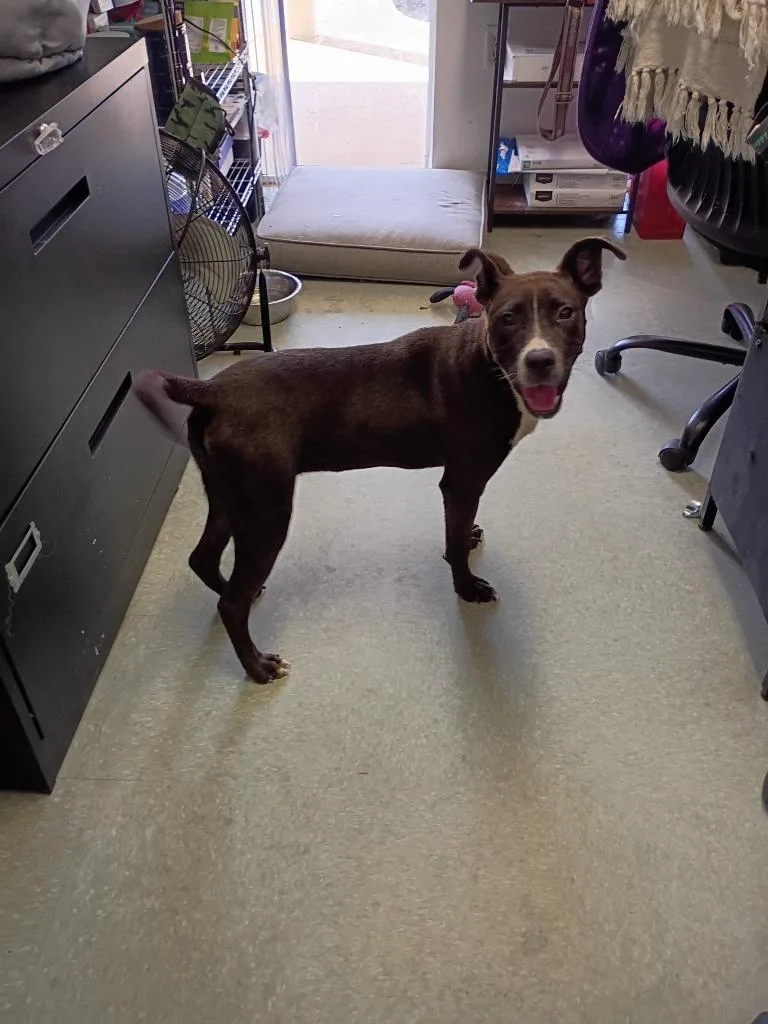 Melody thumbnail 4