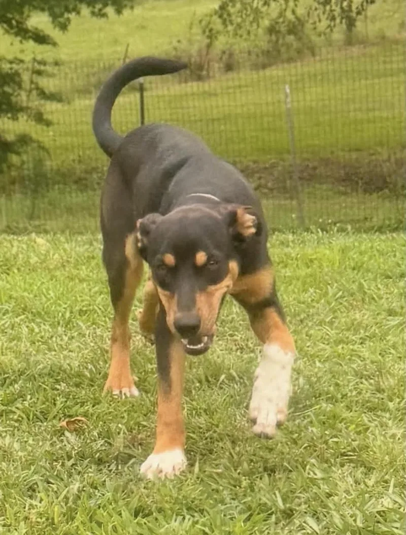 Buster thumbnail 2