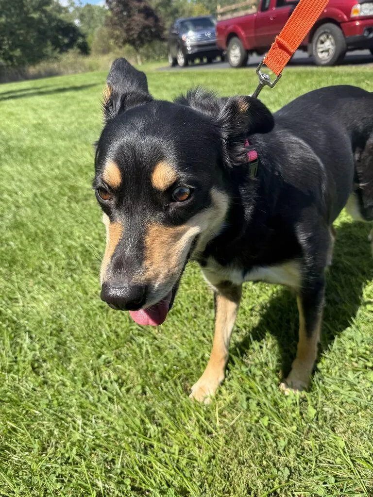 Trudy