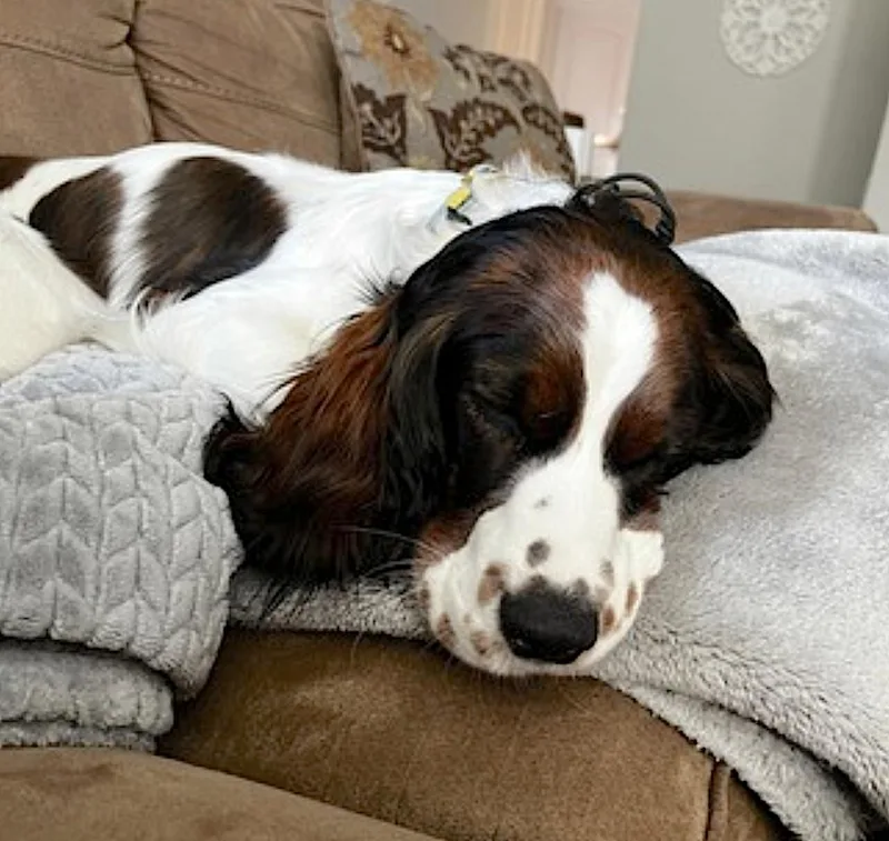 Maggie thumbnail 4