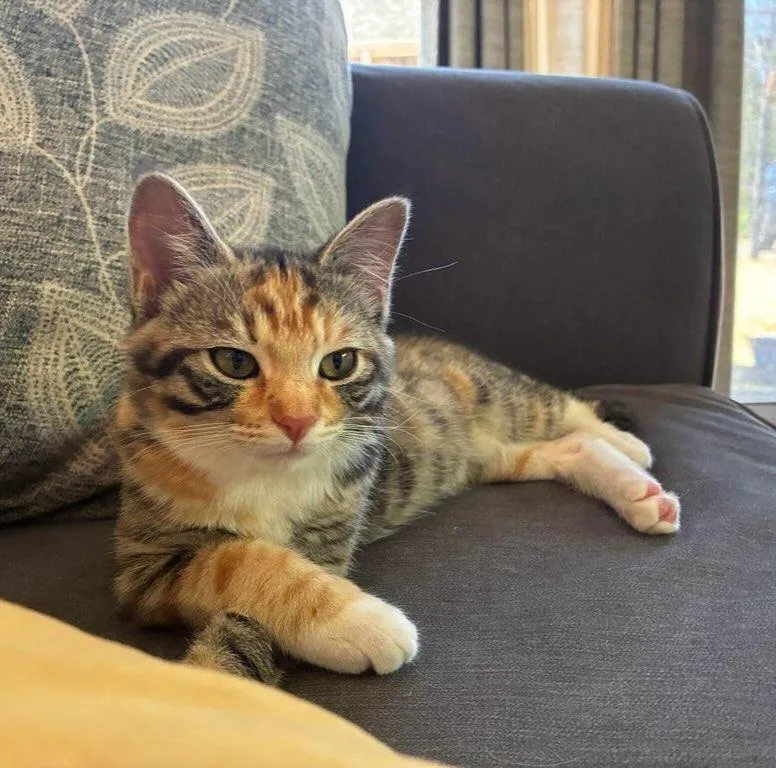 Maisy & Mimi 