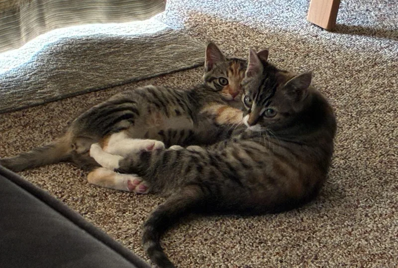 Maisy & Mimi  thumbnail 2