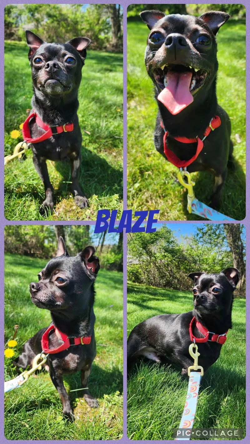 Valeria & Blaze thumbnail 3