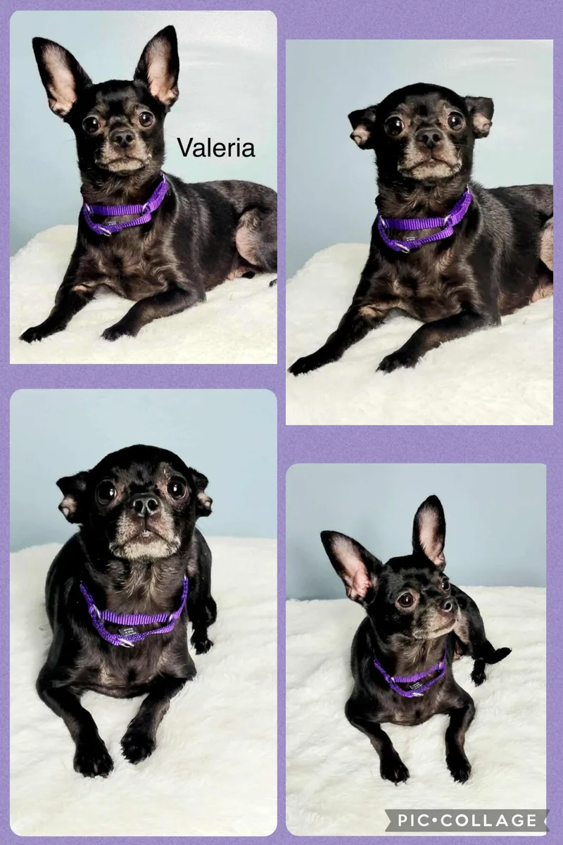 Valeria & Blaze thumbnail 5