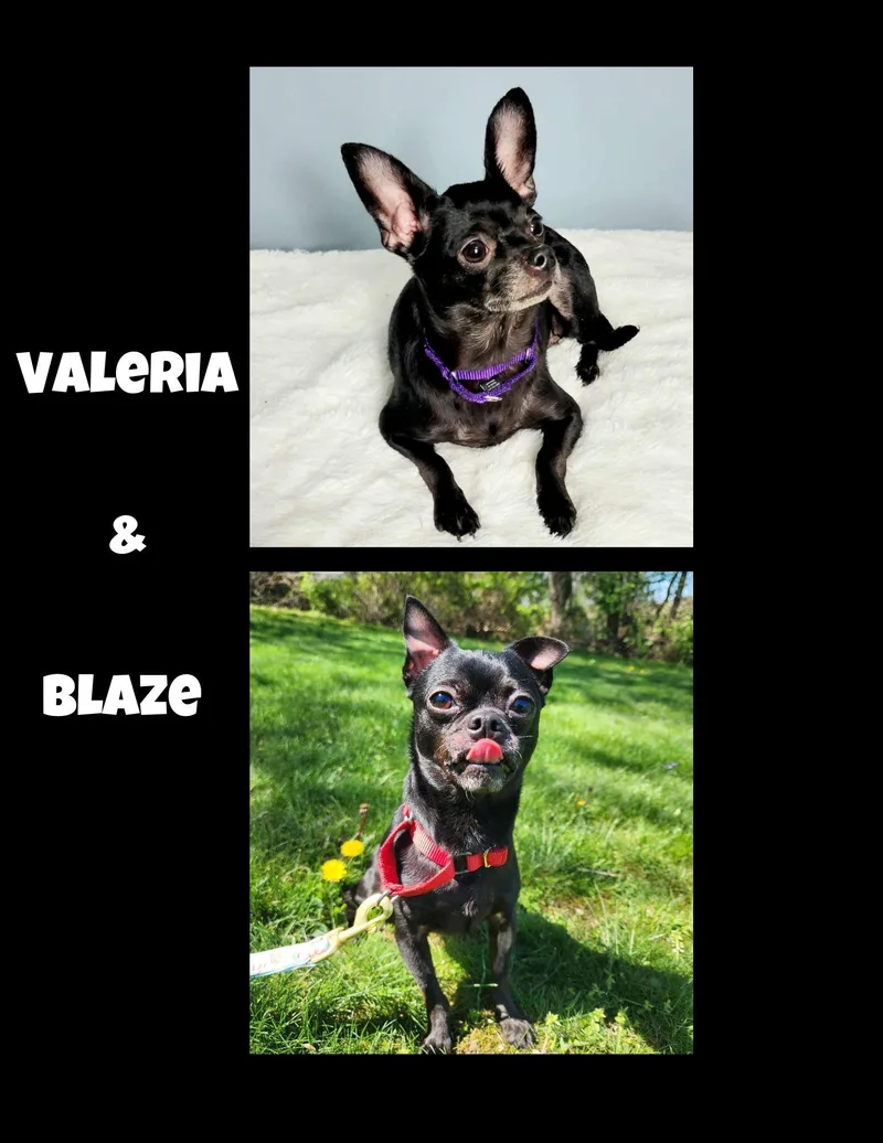 Valeria & Blaze thumbnail 6